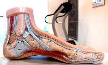 Orthopädie-Schuhtechnik Orthopädie-Schuhtechnik